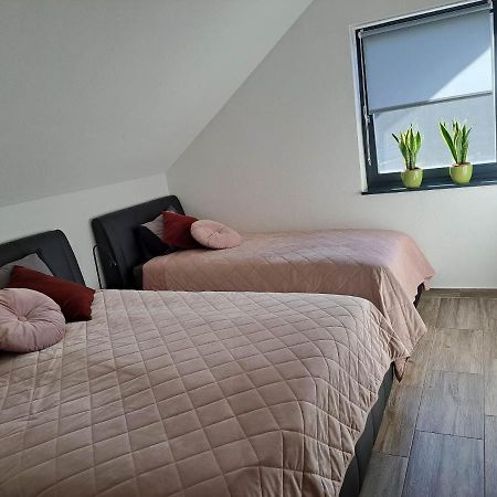 Apartmaji Tisa In Zana Rovte Exterior foto