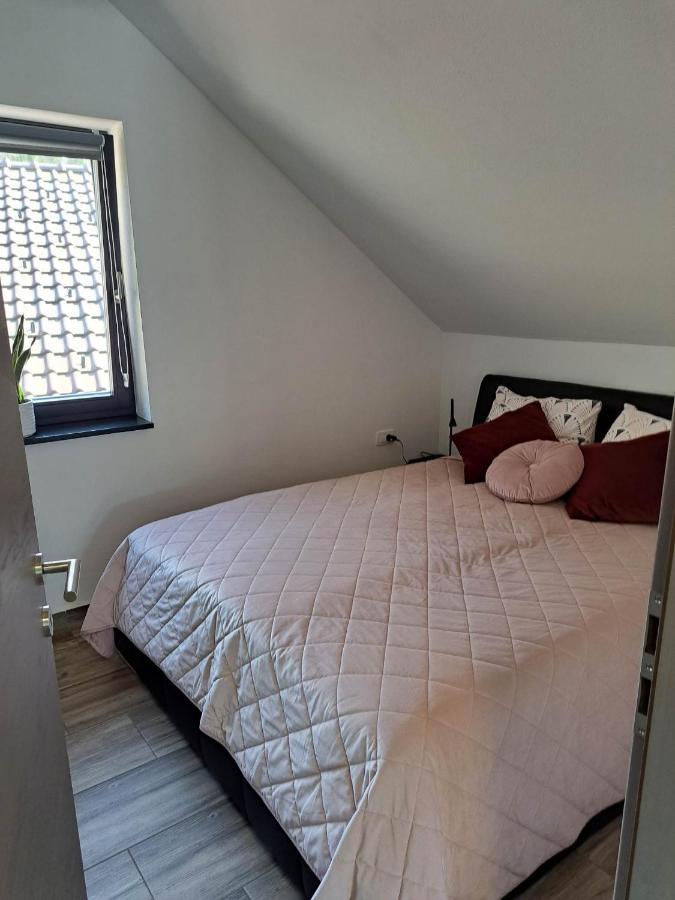 Apartmaji Tisa In Zana Rovte Exterior foto
