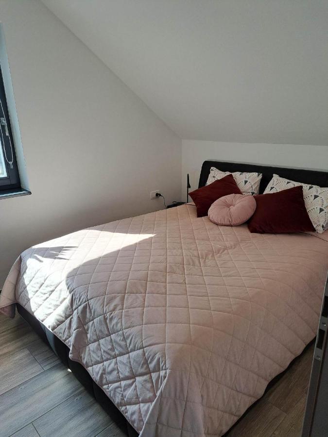 Apartmaji Tisa In Zana Rovte Exterior foto